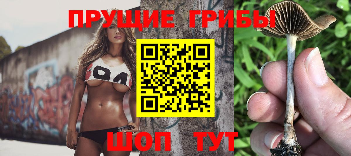 Галлюциногенные грибы Magic Shrooms  Вход с VPN  Сланцы  Псилоцибиновые грибы Psilocybine cubensis 